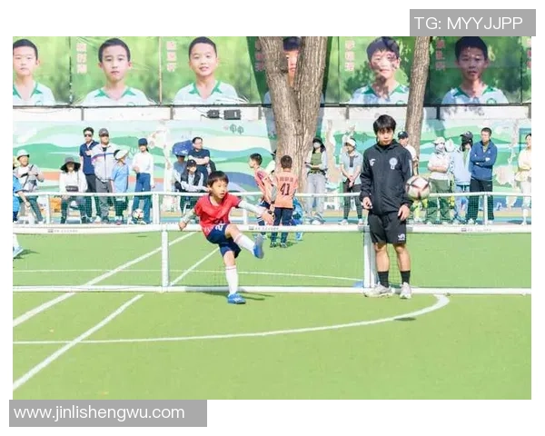 安徽足球明星盘点：那些在绿茵场上闪耀的本土英雄们