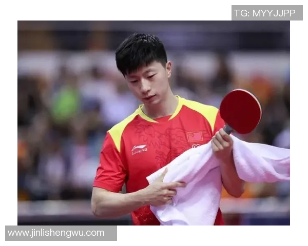 南京乒乓球队精英赛战术解析与表现评估的深度分析