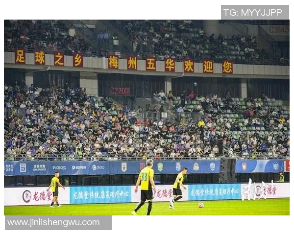 足球明星带球动作精彩瞬间展现球场魅力与技术之美